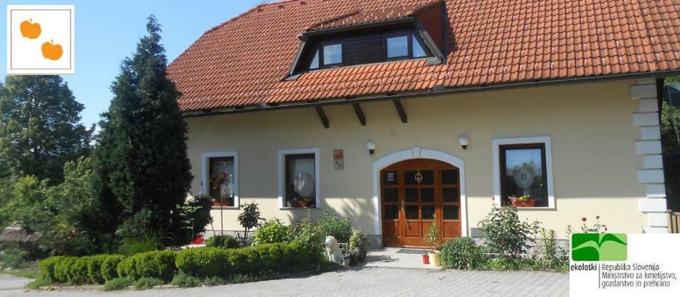Country House Slemensek Vojnik Екстер'єр фото